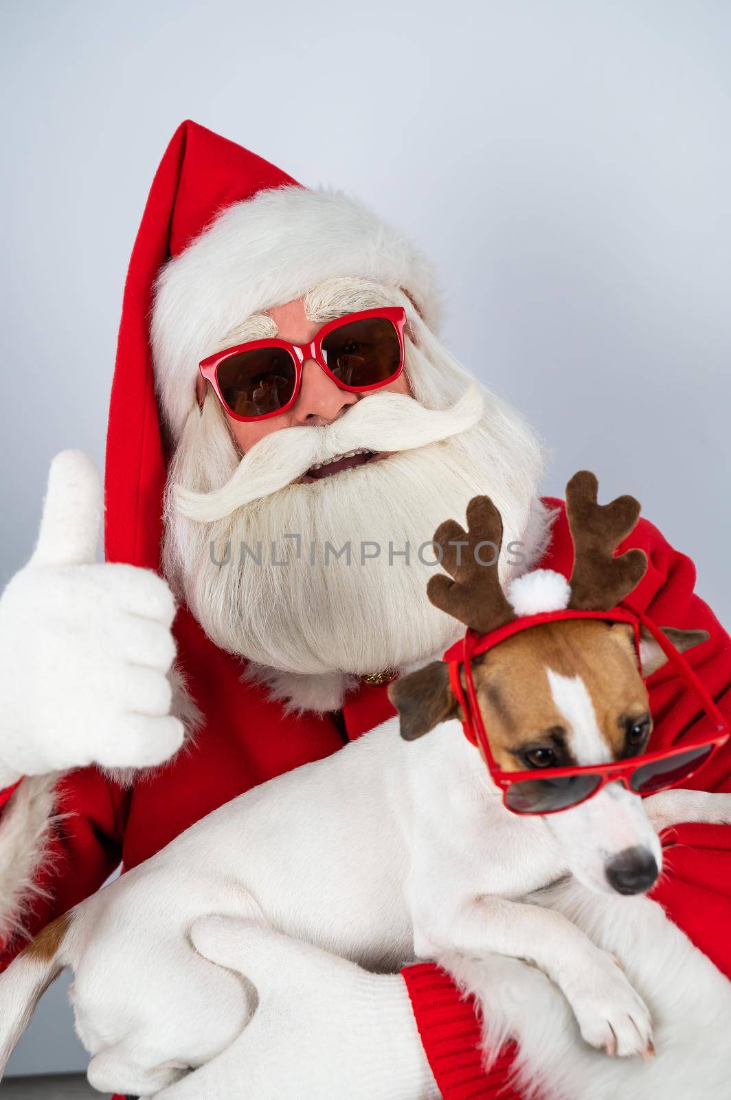 Portrait of santa claus in sunglasses and dog jack russell terrier in rudolf reindeer ears on a white background. by mrwed54