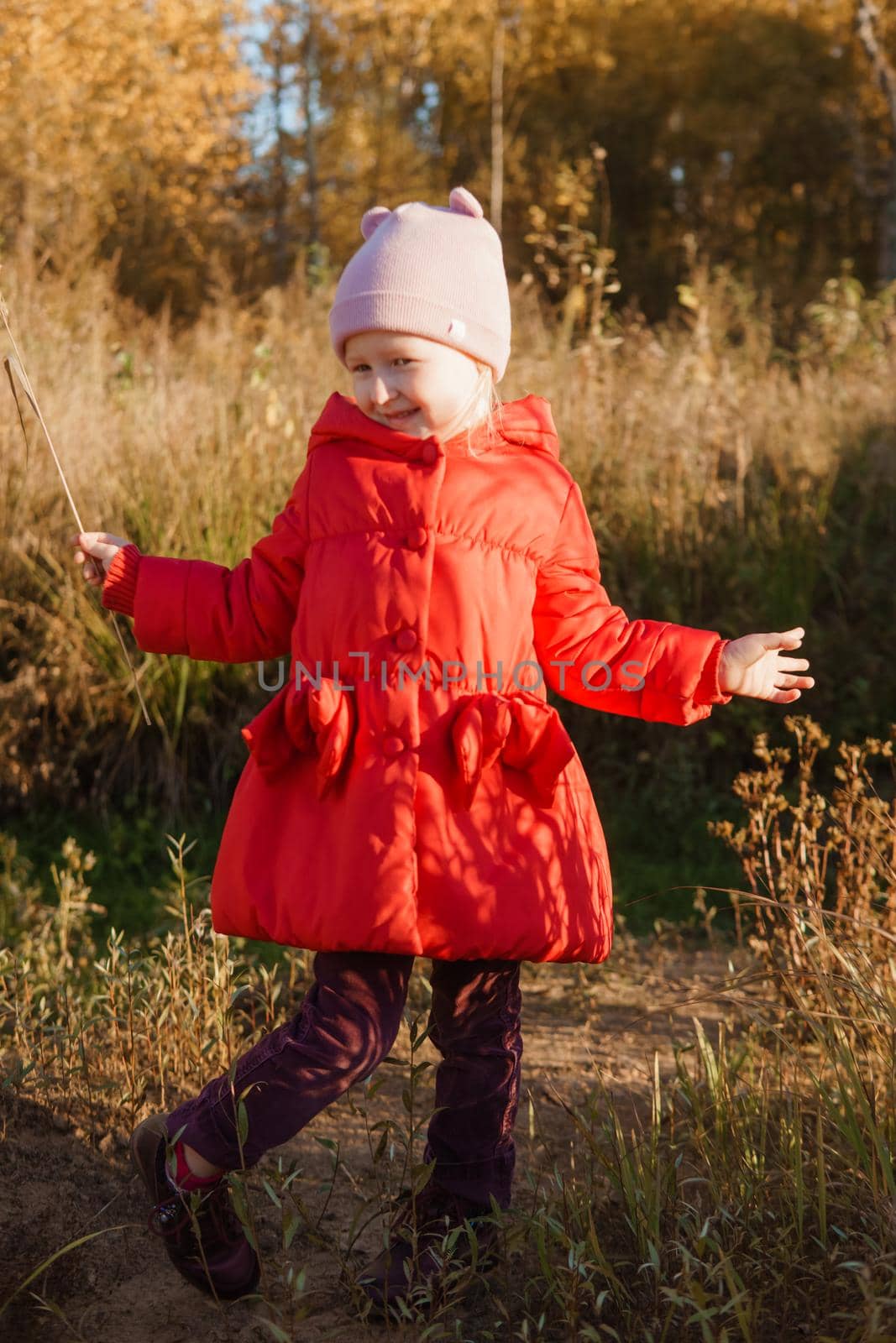 A little girl in a red coat walks in nature in an autumn grove. The season is autumn by Annu1tochka