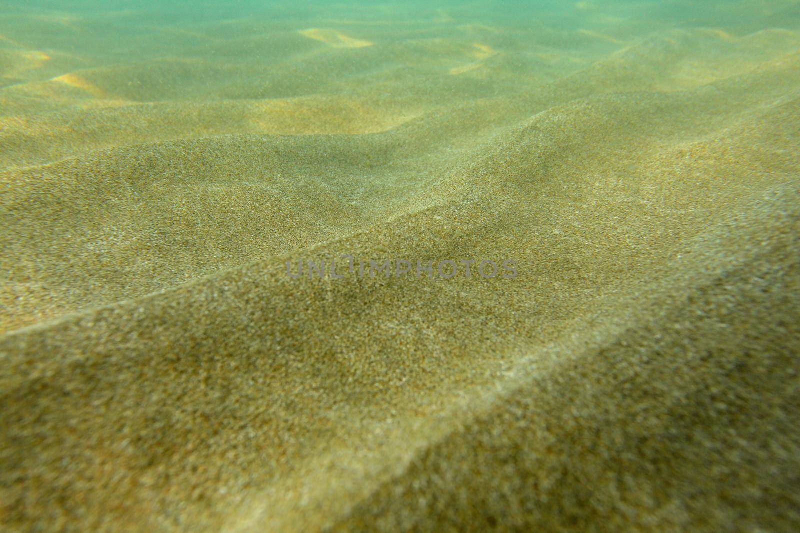 Underwater photo, shallow sea with sand "dunes" lit by sun.