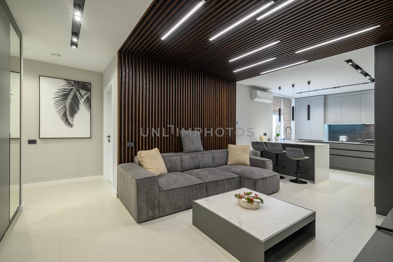 Luxury living room with sofa ant tv set and kitchen in studio apartment interior