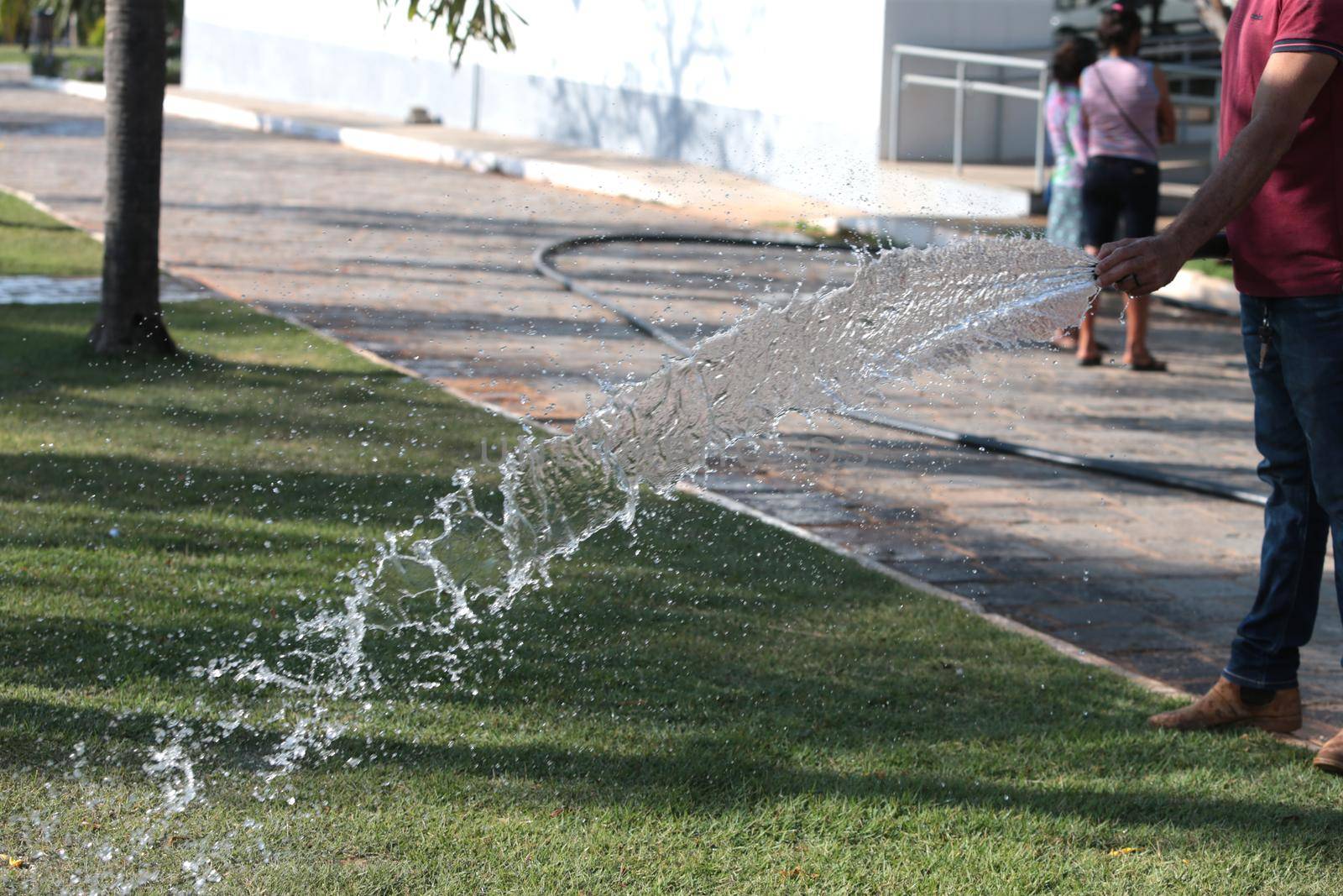 santana, bahia, brazil - september 13, 2022: gardener pours water with a hose in a garden of a public square in the city of Santana.
