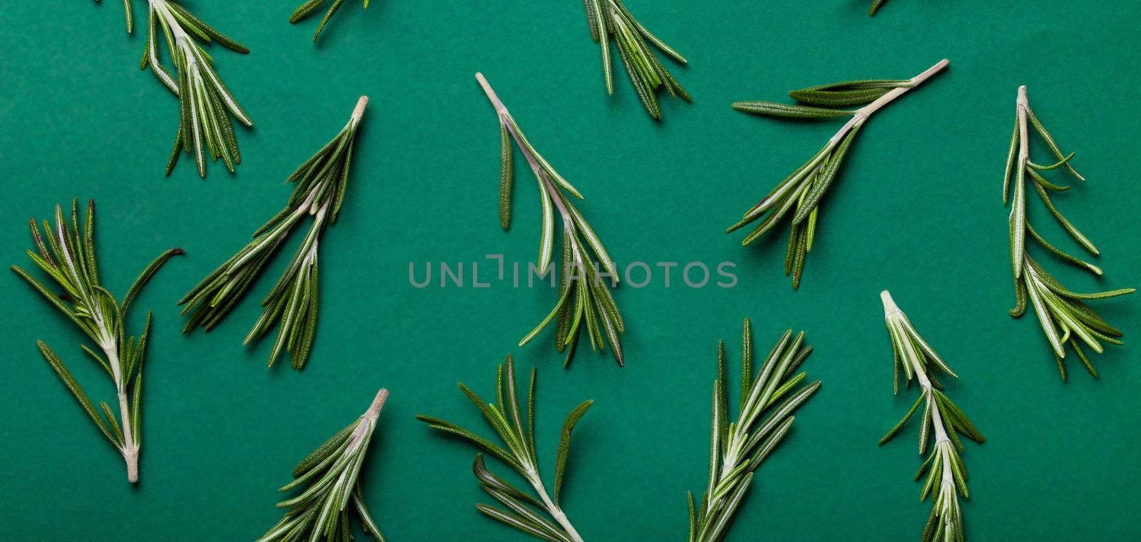 Rosemary food background with rosemary branches on minimal green background by its_al_dente