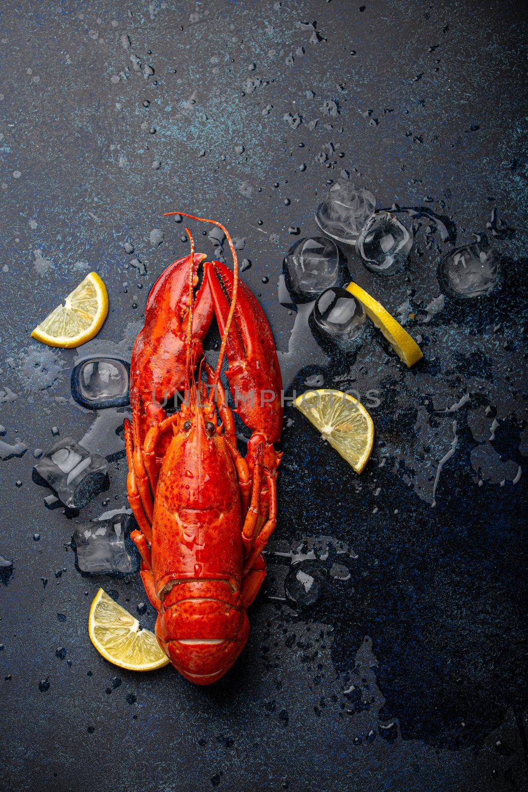 Boiled cooked red whole lobster ready to eat served with lemon wedges and ice cubes top view flat lay on blue concrete stone background, seafood concept