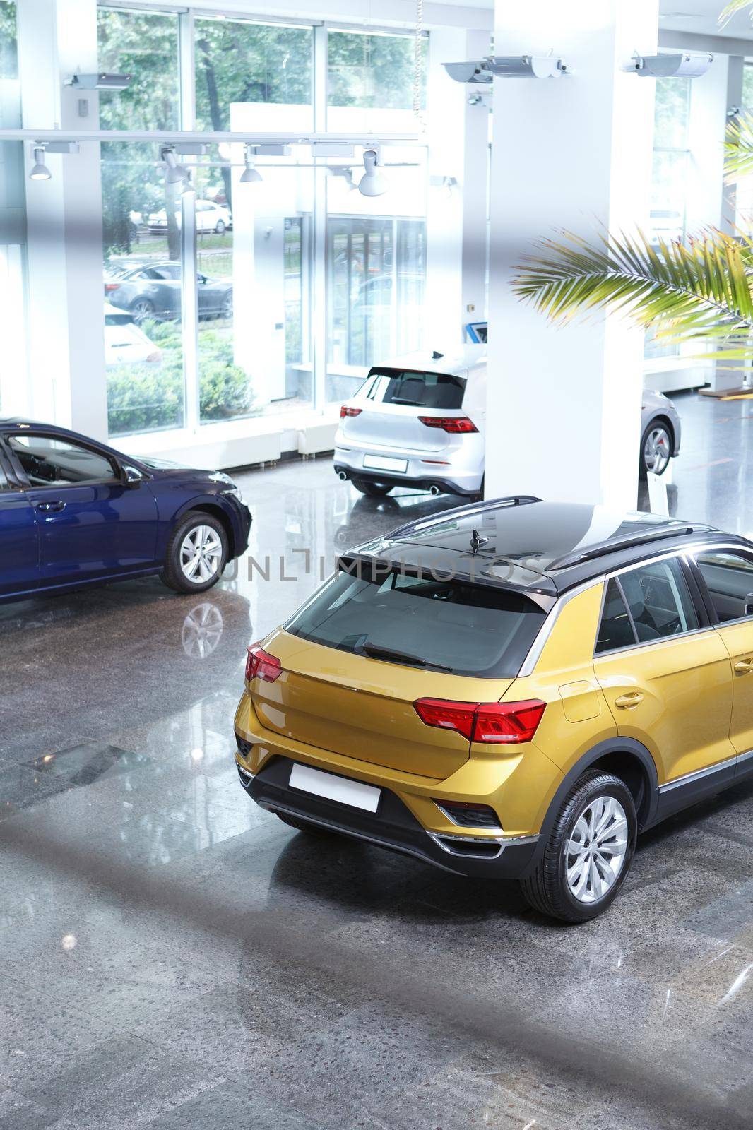 Vertical shot of new automobiles for sale at dealership salon