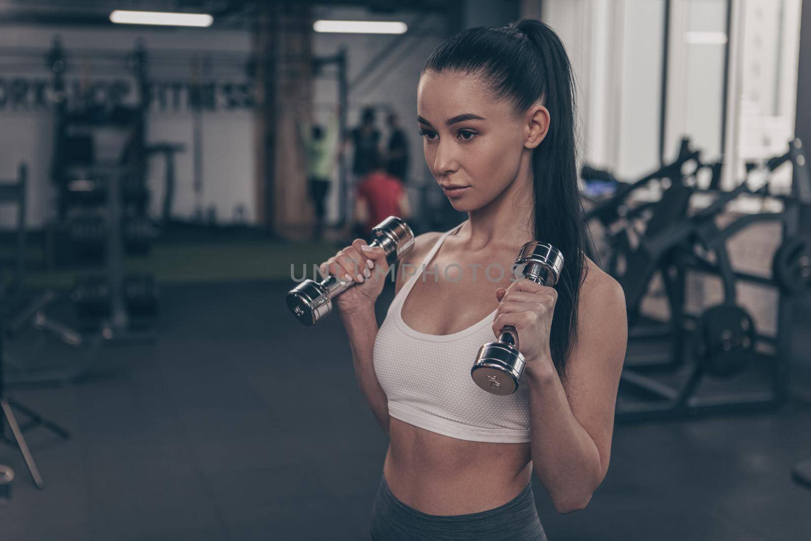 Beautiful fitness woman looking concentrated, exercising with dumbbells, copy space on the side. Charming sportswoman lifting weights at the gym. Attractive female athlete working out. Gym concept