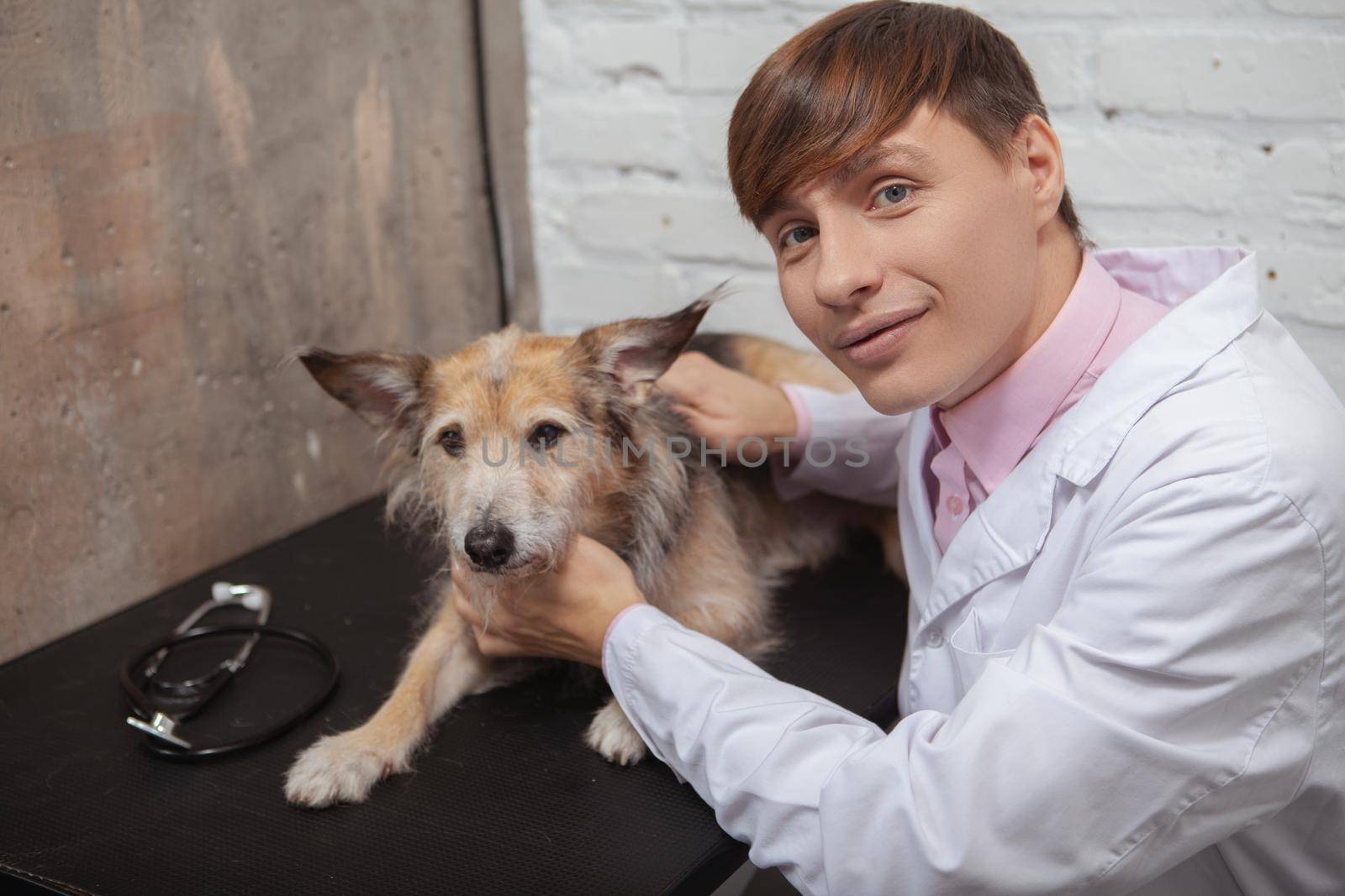 Adorable mixed breed shelter dog at the veterinary clinic by MAD_Production