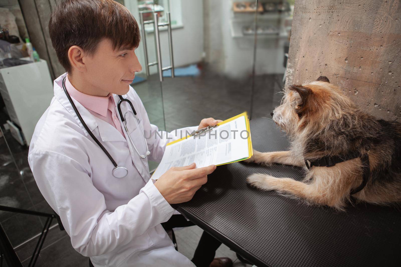 Cheerful male vet examining mixed breed shelter dog at his animal clinic