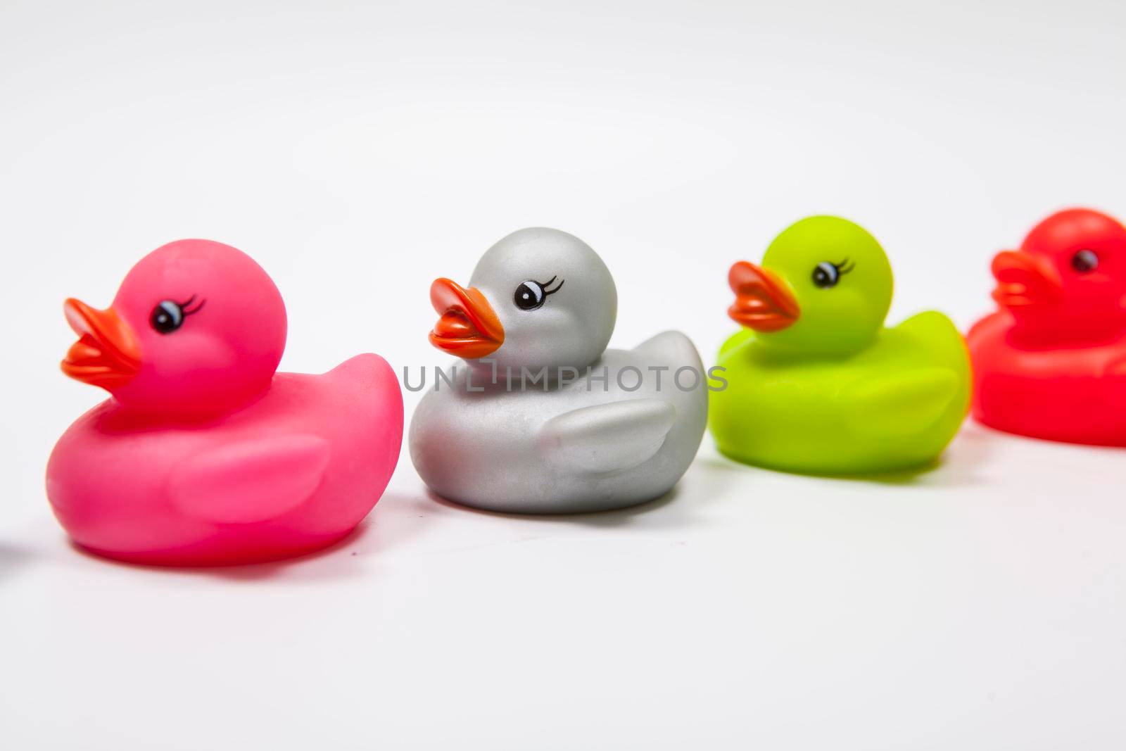 Close up of cute rubber ducks in a row