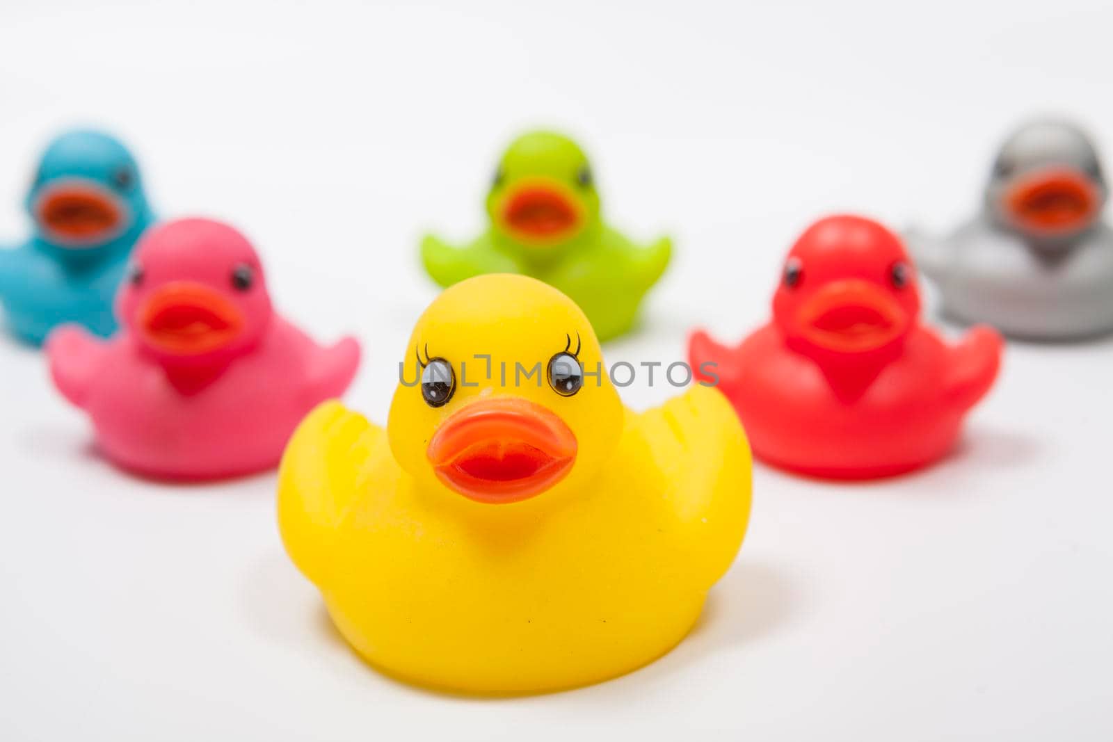 Yellow rubber duck in front of the team of colorful rubber ducks isolated, leadership, teamwork concept