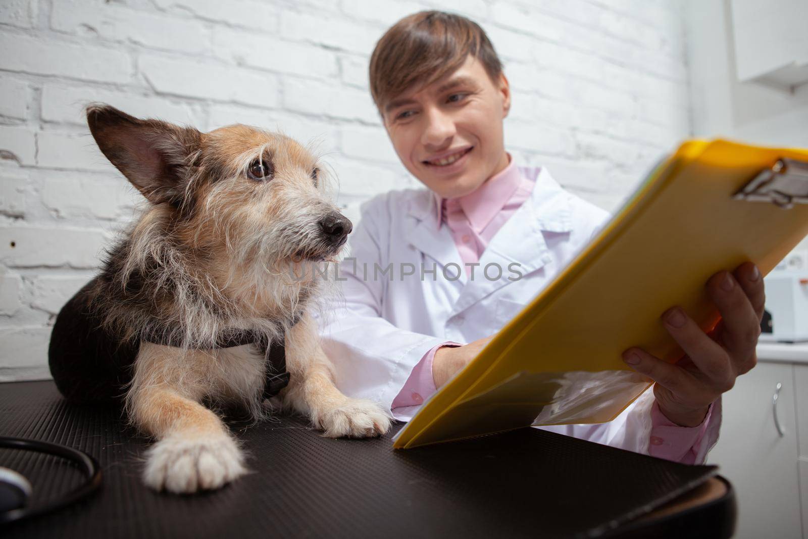Cheerful male vet showing cute shelter dog his medical results on a clipboard after examination at vet clinic