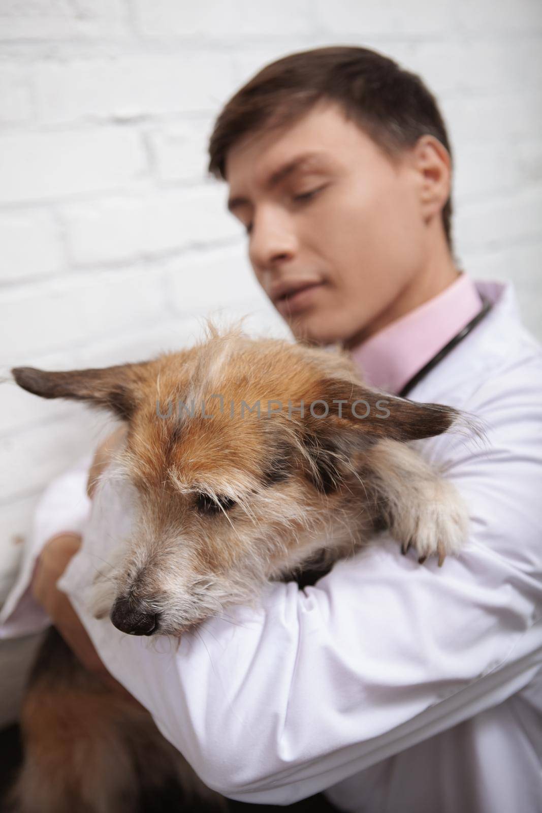 Vertical close up of a young vet hugging cute mixed breed shelter dog