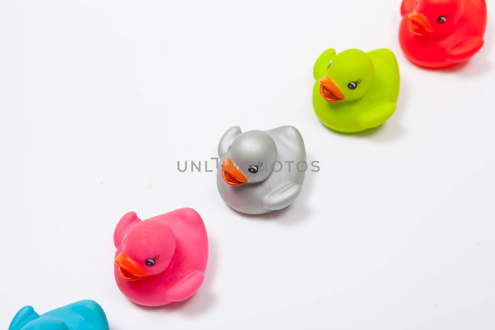 Colorful rubber ducks in a row isolated