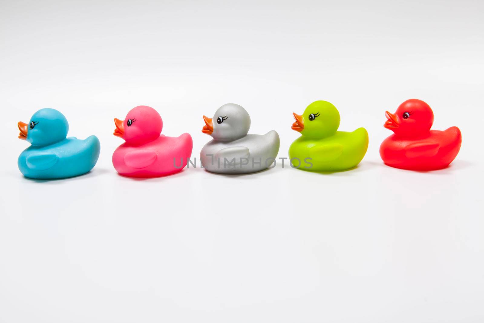 Profile shot of row of multicolored rubber ducks