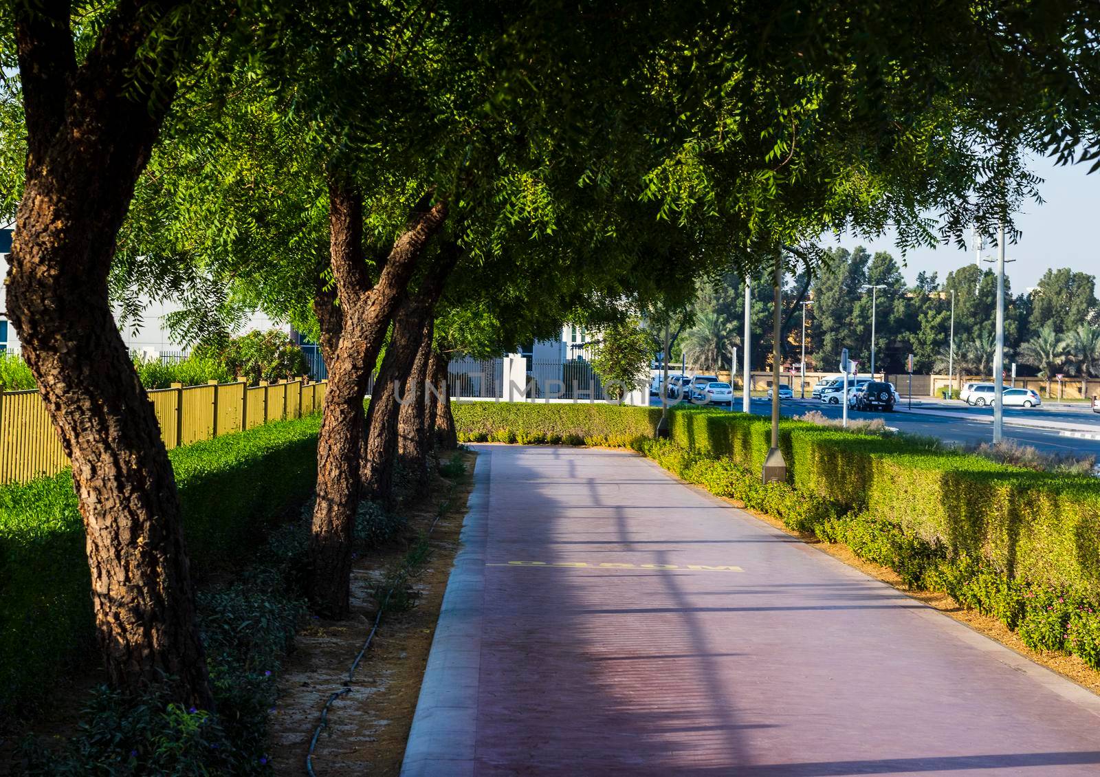 Jogging track in the park early in the morning