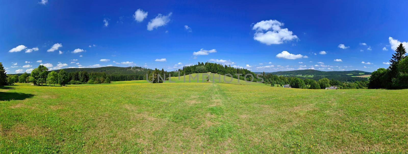 Beautiful summer panorama landscape with nature. Meadow with forest and blue sky on a sunny day. Highlands - Czech Republic