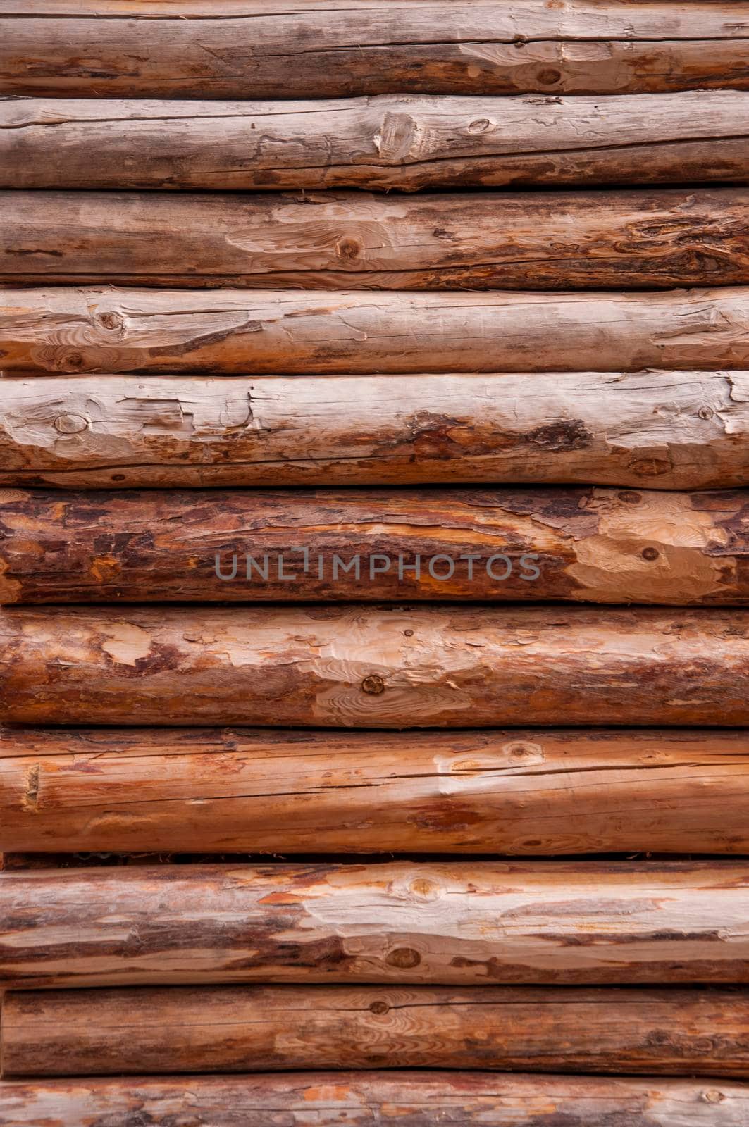wooden texture, pine logs. wooden wall by inxti