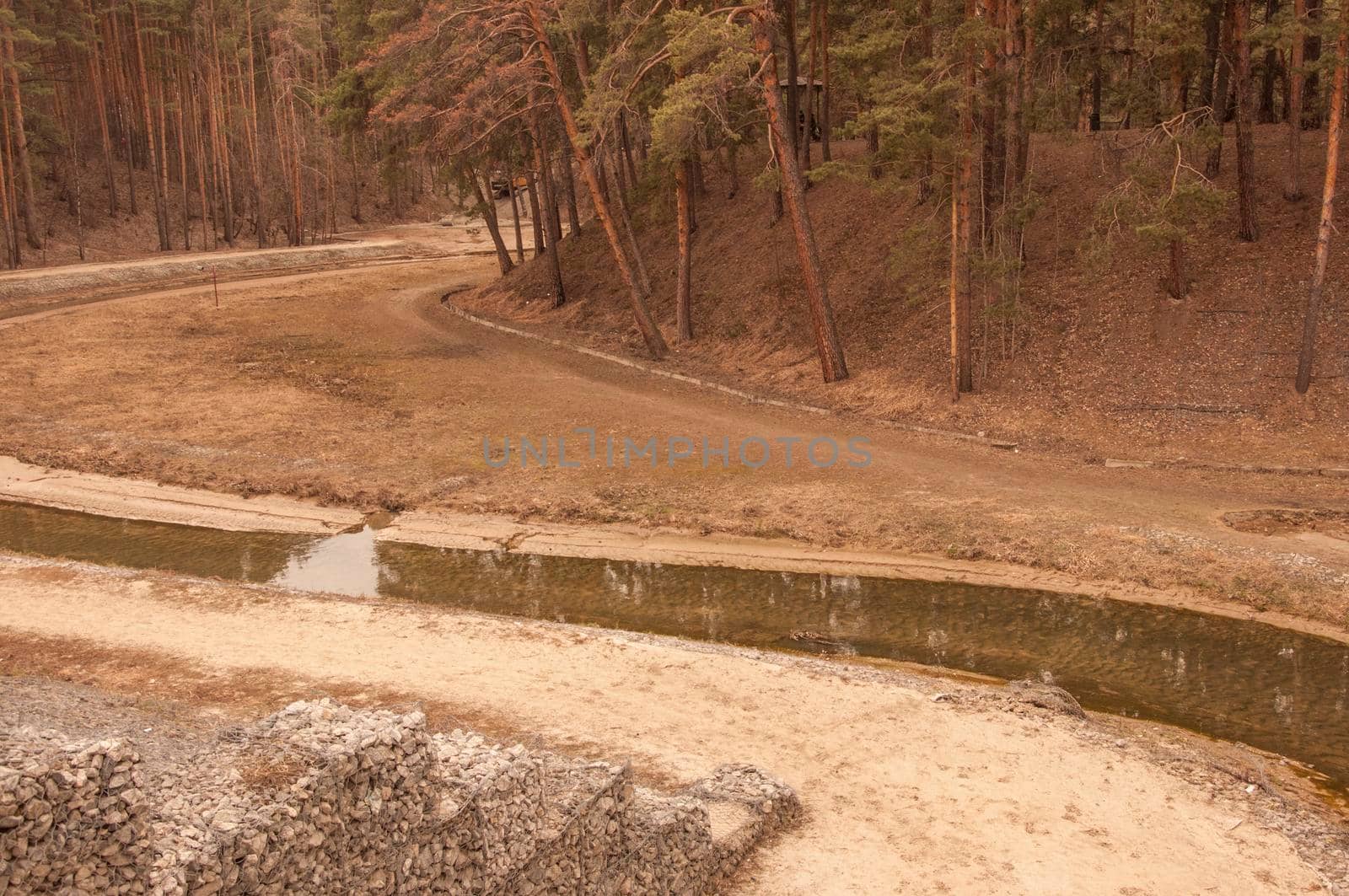 Modern garden and landscaping: Recultivated city park with gravel beach