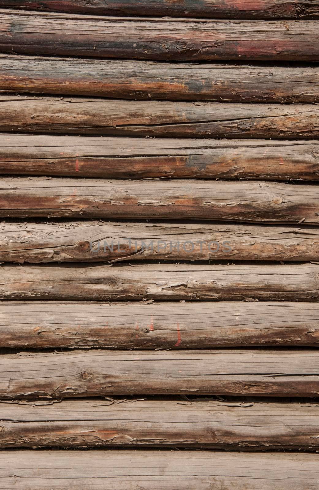 wooden texture, pine logs. wooden wall by inxti