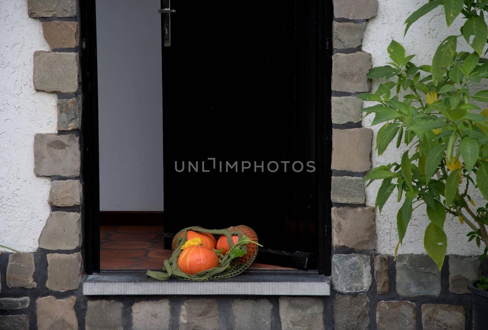 a net with ripe orange pumpkins lies on the threshold at the open door. High quality photo