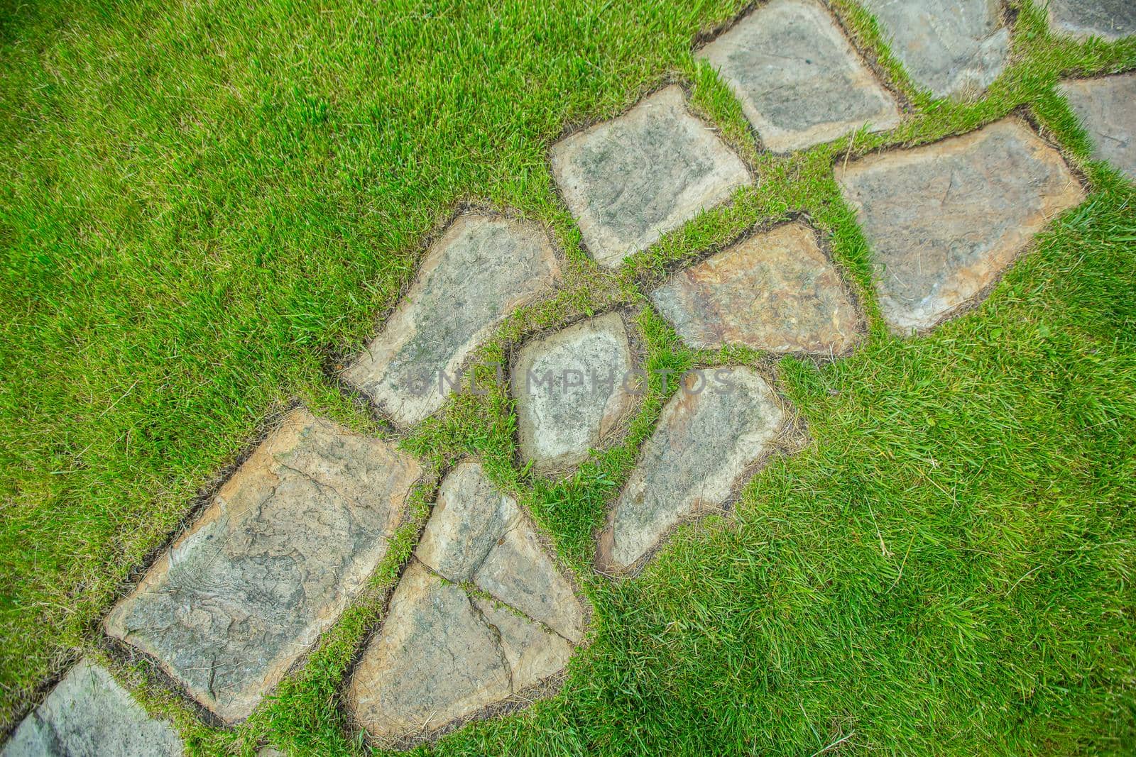 Background texture, path on the lawn lined with round stones on the grass