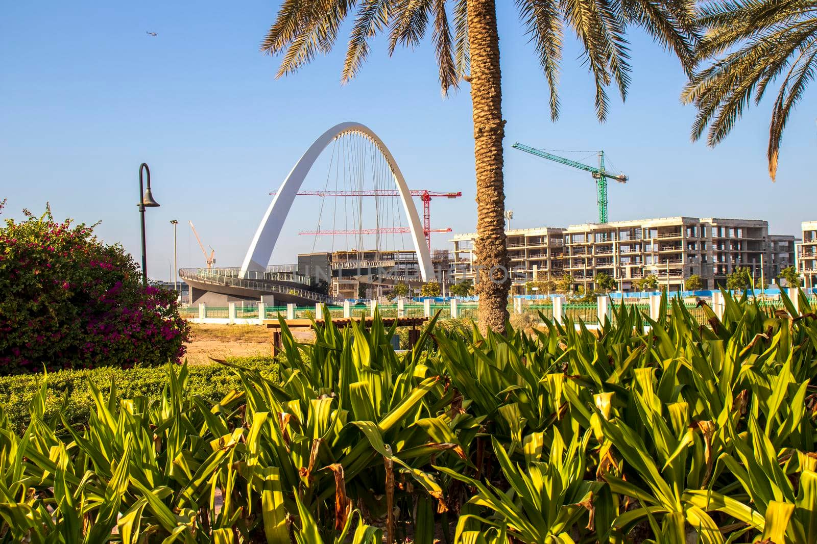 View of a well known landmark of Dubai, Tolerance bridge. Shot made from safa park