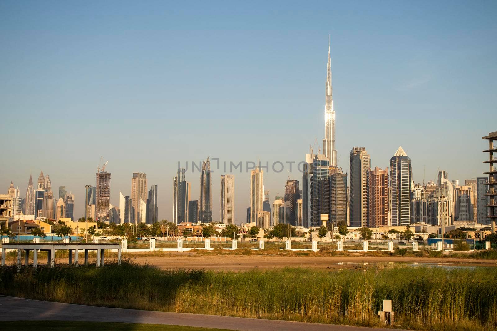 Dubai city skyline. Shot made from safa park. UAE.