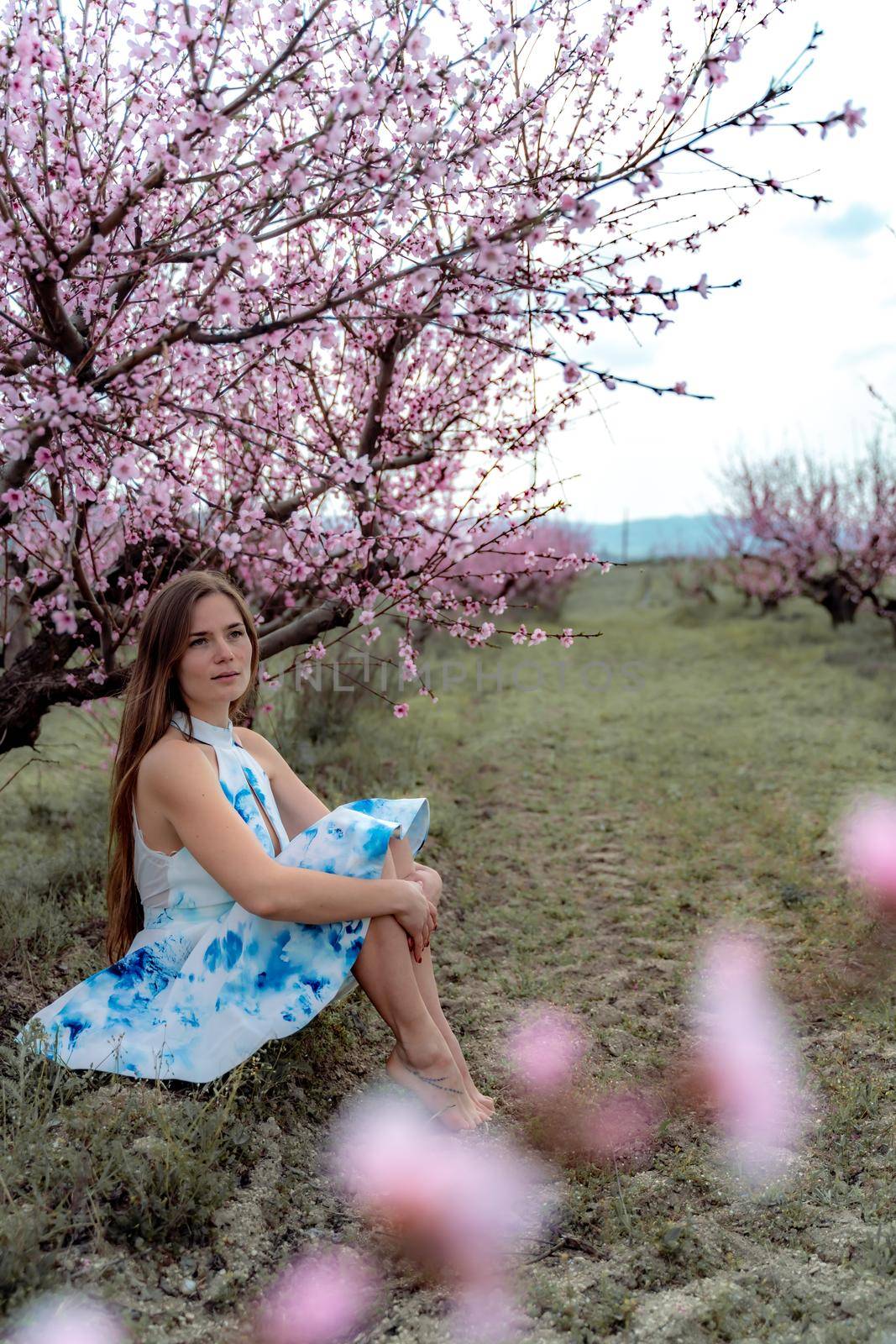 Young beautiful woman in blue dress and long hair is enjoying with blossoming peach trees by Matiunina