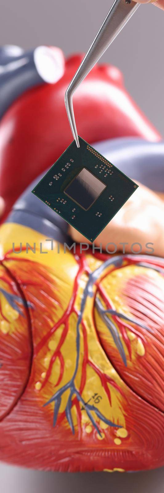 Hand inserting microchip into artificial heart mockup using tweezers closeup by kuprevich