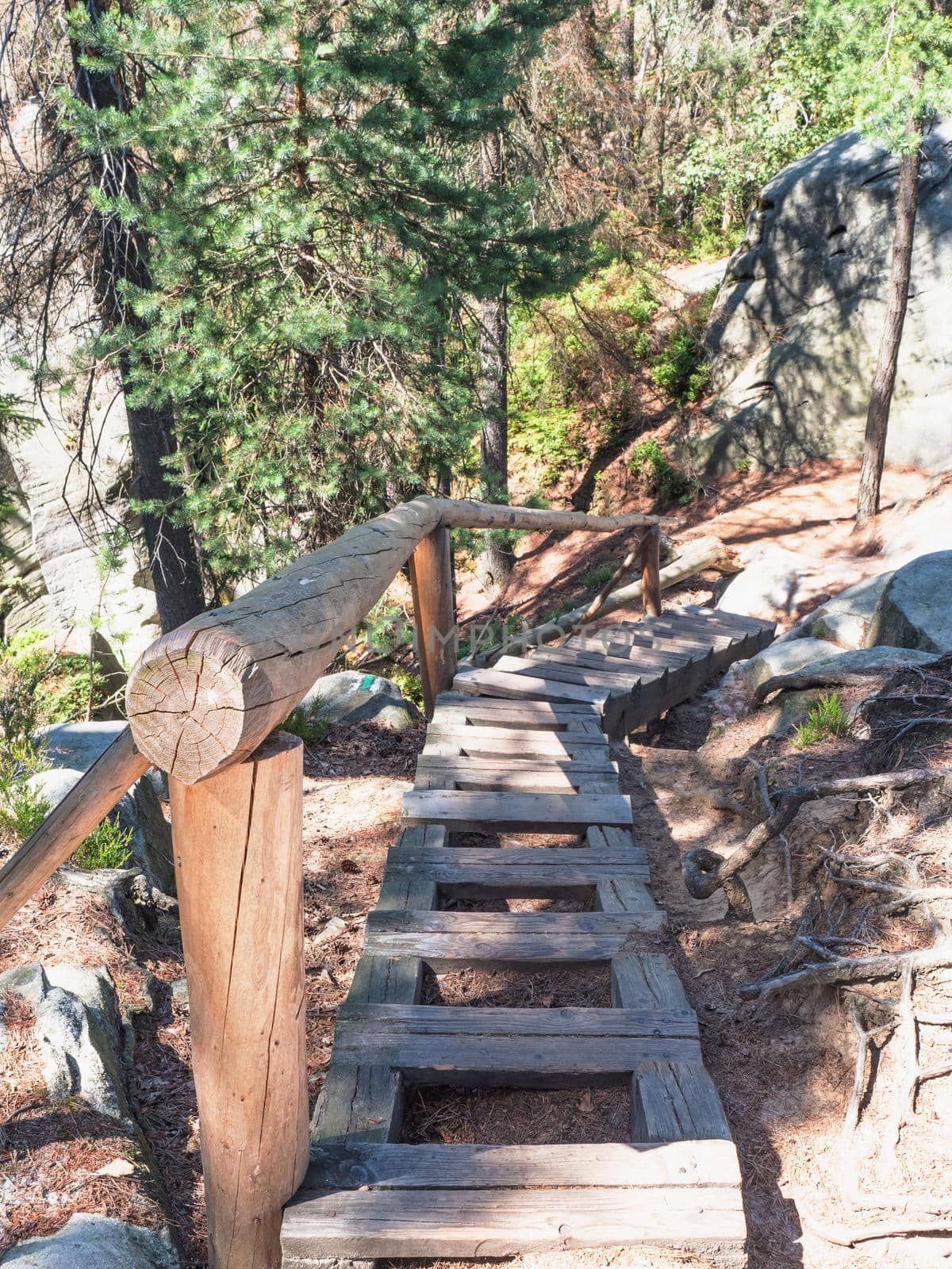 Wooden ladder on trail in Mount Ostas reserve in Table Mountains, by rdonar2
