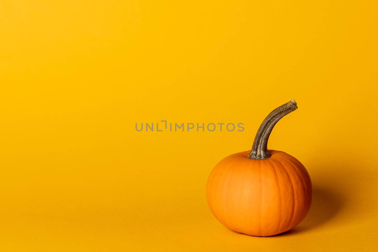Whole pumpkin on orange background by Yellowj