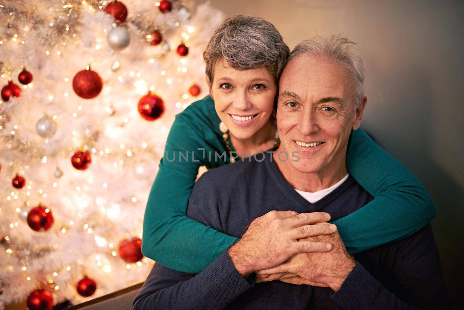 Wheres that mistletoe. Cropped portrait of a happy mature couple sitting in their home at Christmastime