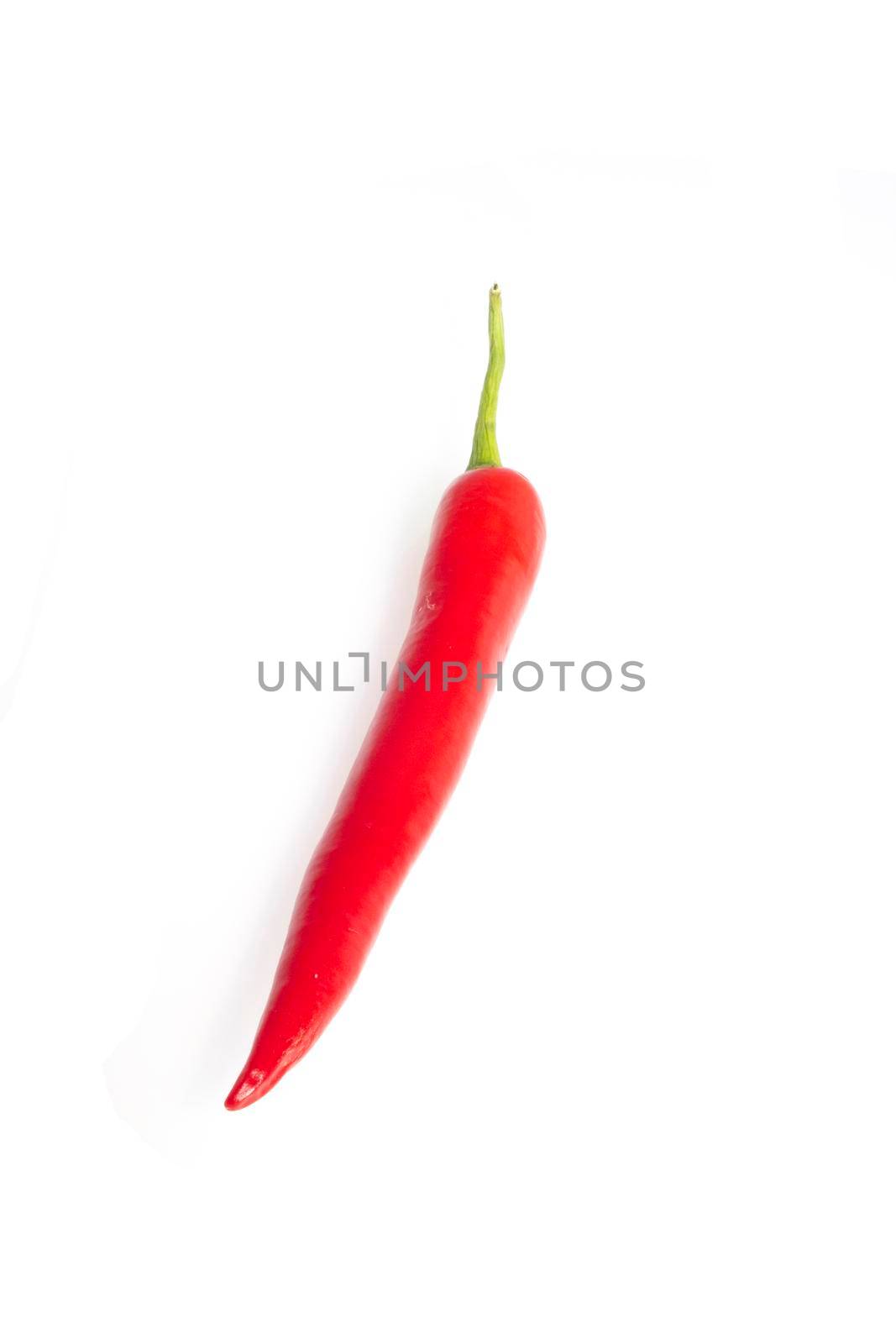 Red hot natural chili pepper.