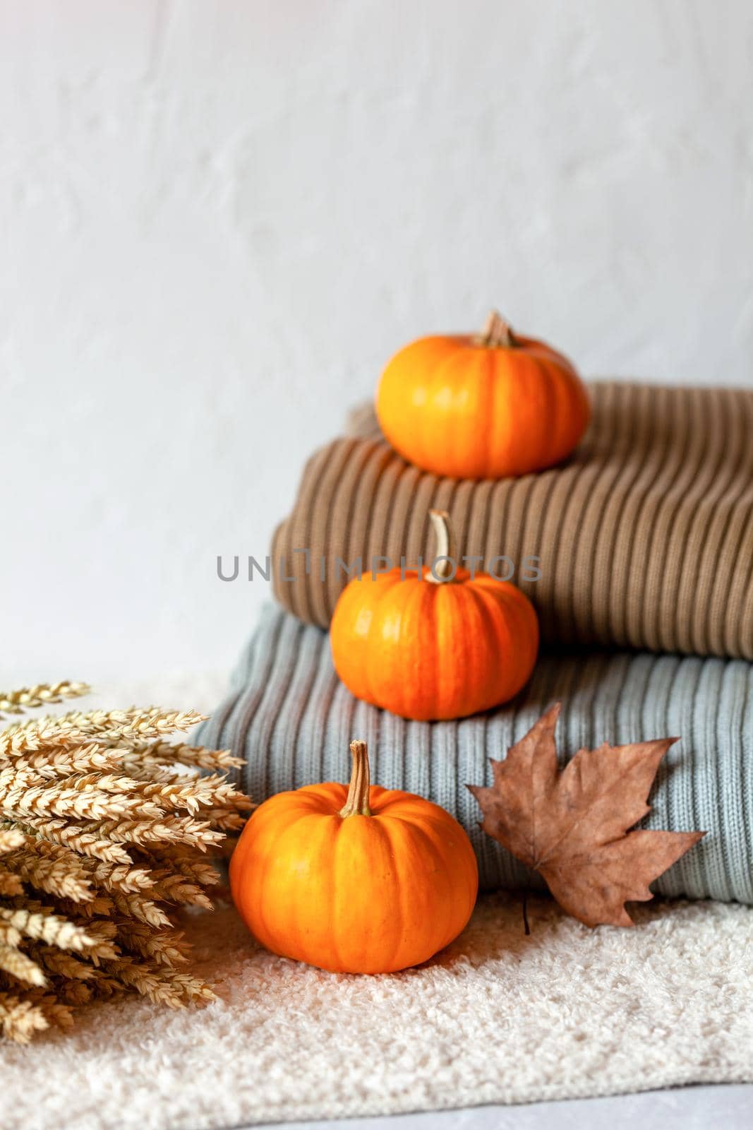 autumn side view composition with mini pumpkins and warm clothes