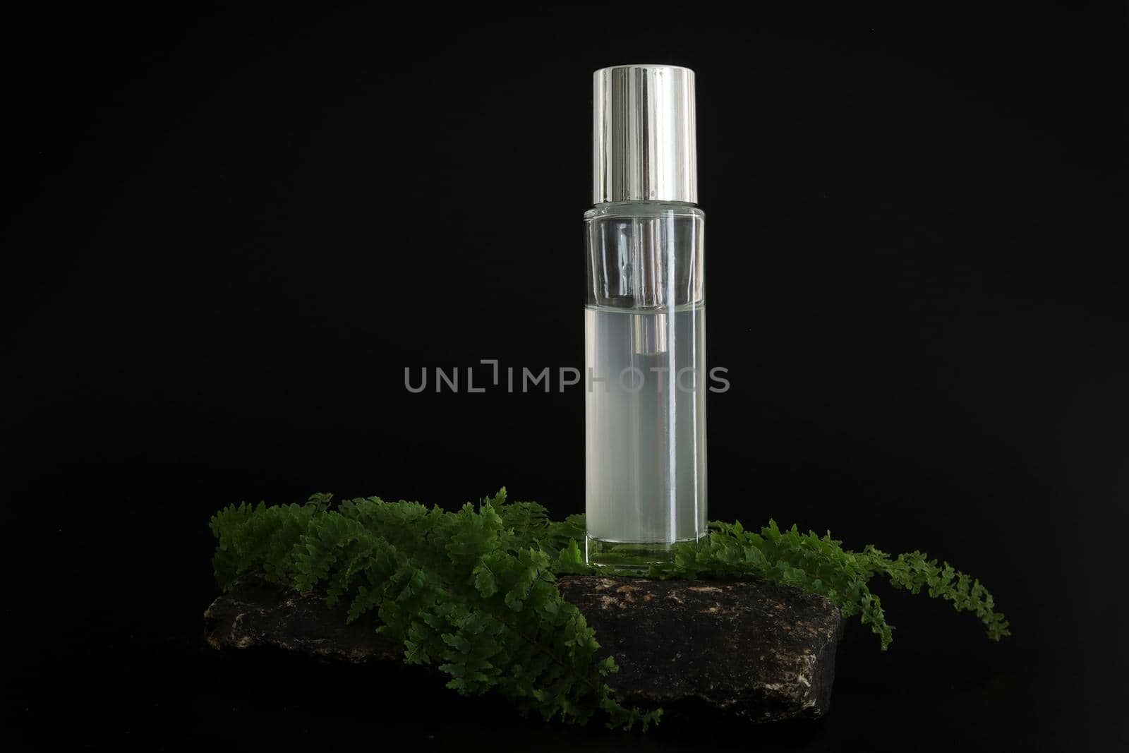 Unbranded natural cosmetic serum packaging standing on stone podium. Serum presentation on the black background. Mockup. Trending concept in natural materials. Natural cosmetic, skincare. by creativebird