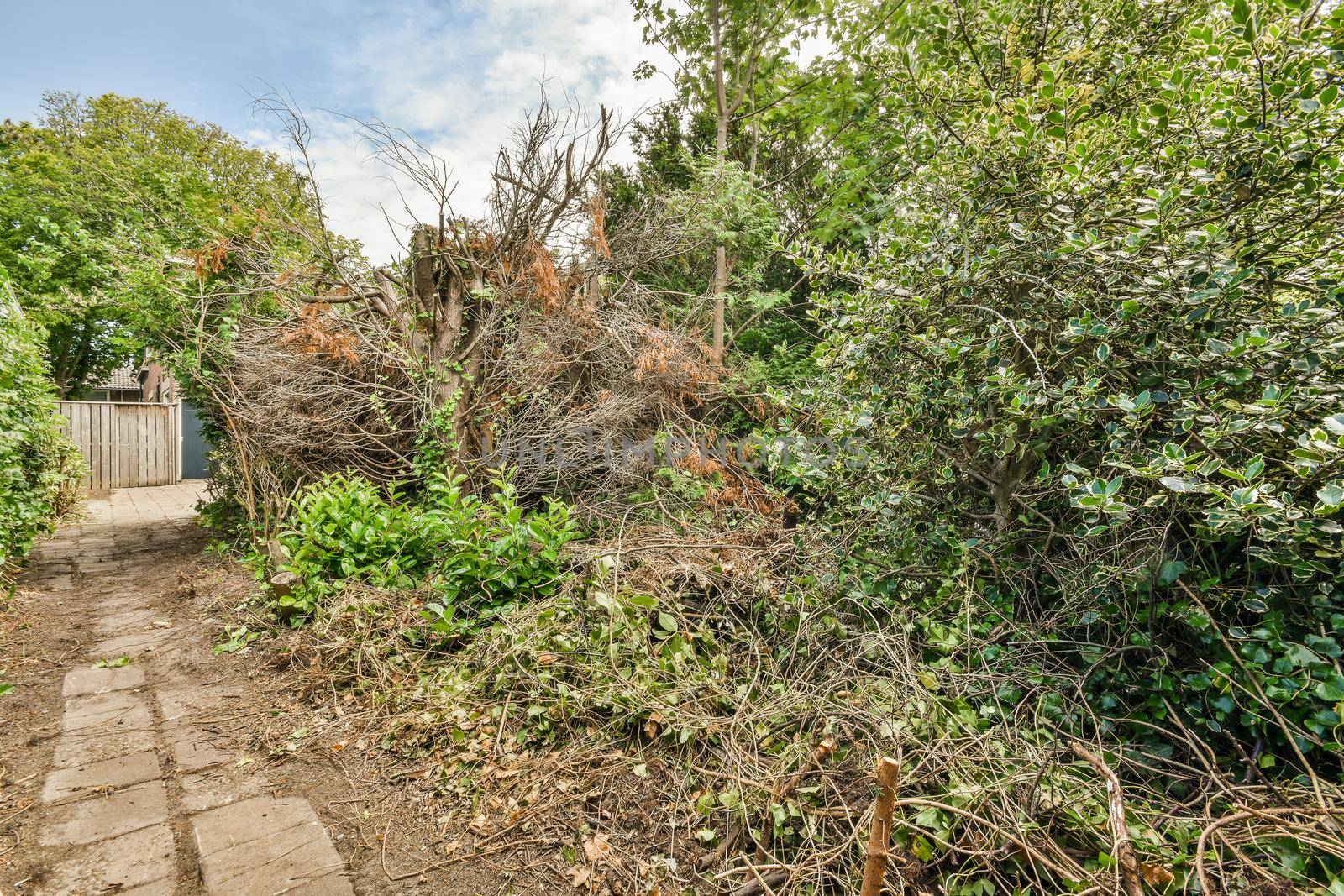 View of street near building with beauty of vegetation outside