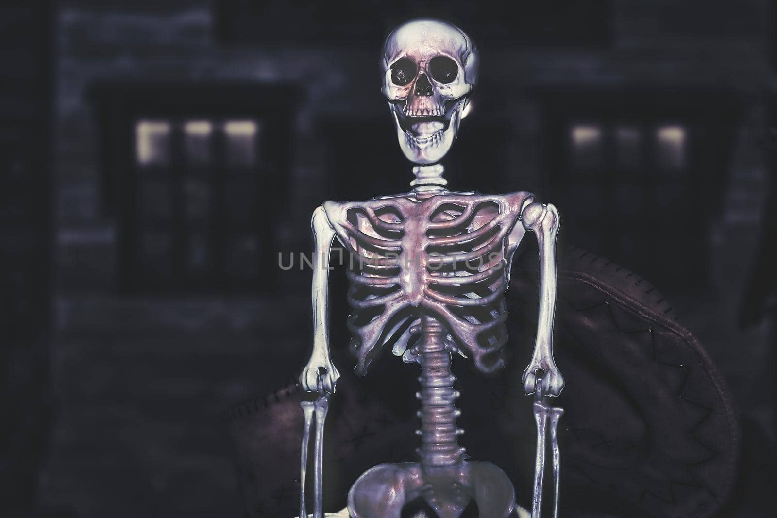 the night of October 31, the eve of All Saints' Day, commonly celebrated by children who dress in costume and go door asking for candy. Pale red purple poisonous halloween skeleton in dark gray room
