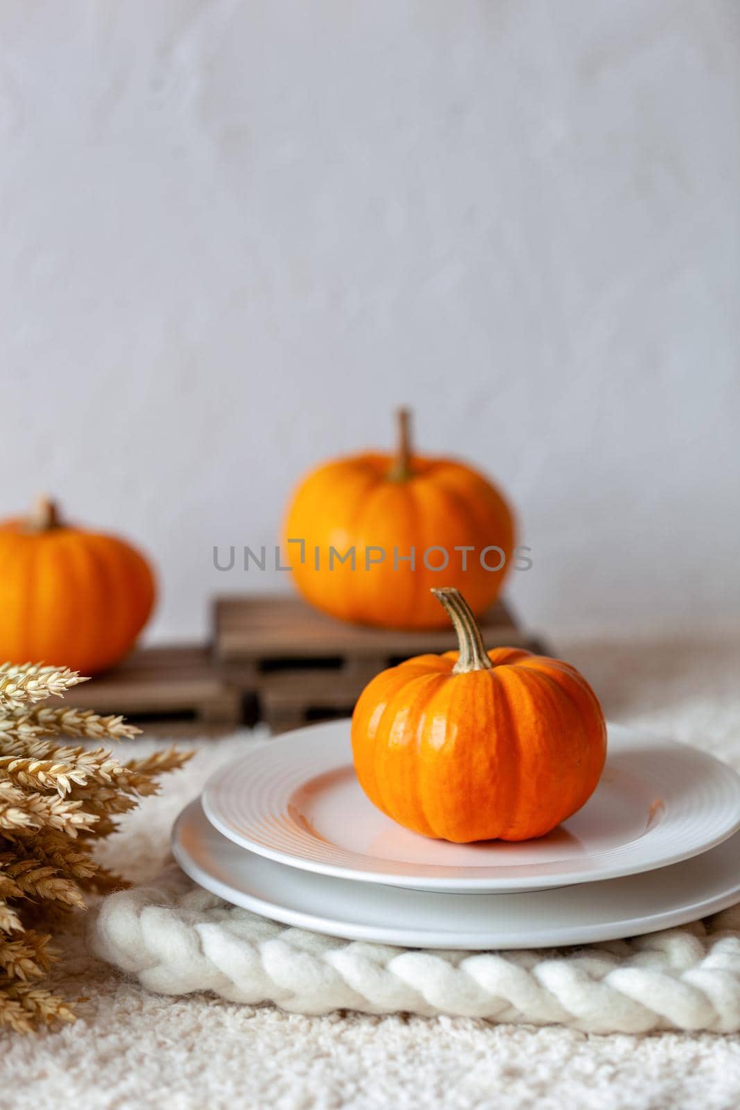 autumn table composition with mini pumpkins, side view, selective focus