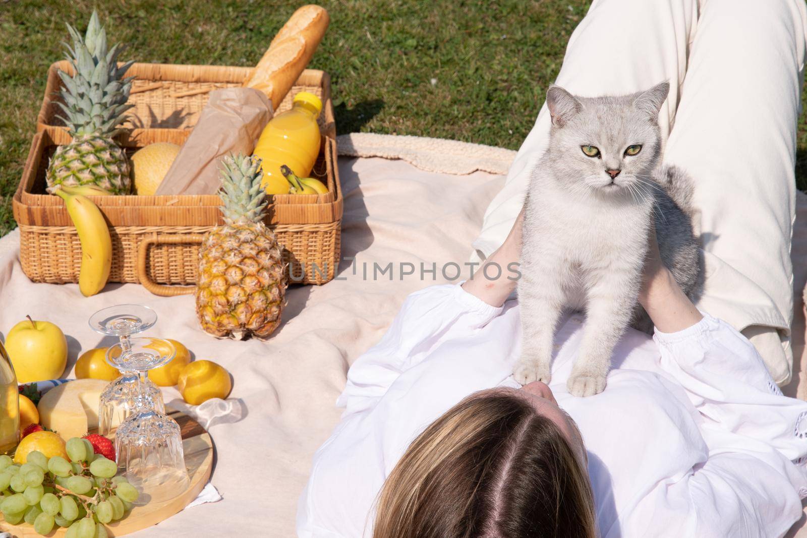 a young woman in a white shirt is resting on a picnic with her pet kitten, rest from worries and household chores, parks and recreation areas,. High quality photo