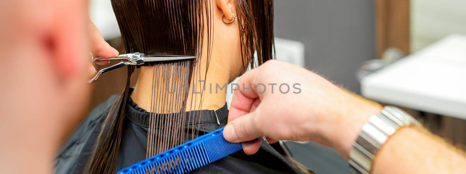 The male hairdresser cuts back female client's hair with scissors and comb in a beauty salon