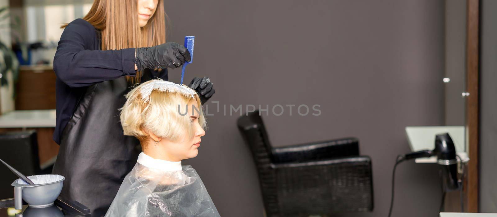 The professional hairdresser is dyeing the hair of her female client in a beauty salon. by okskukuruza