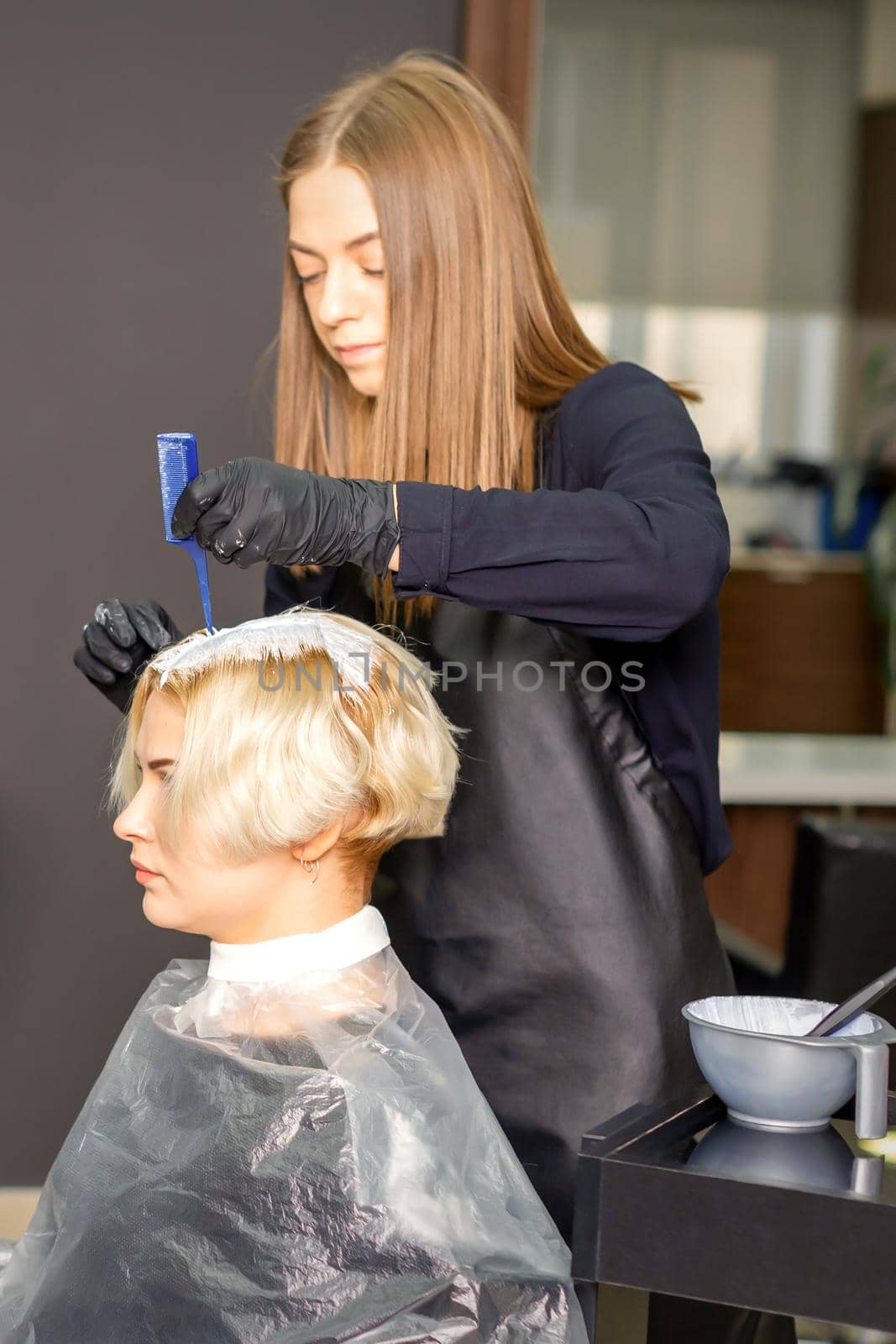 The professional hairdresser is dyeing the hair of her female client in a beauty salon