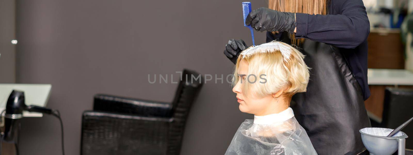 The professional hairdresser is dyeing the hair of her female client in a beauty salon