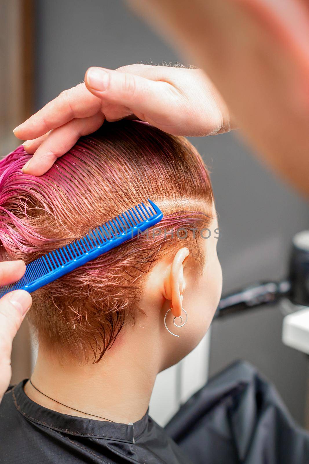 Combing the hair of a young woman during coloring hair in pink color at a hair salon close up