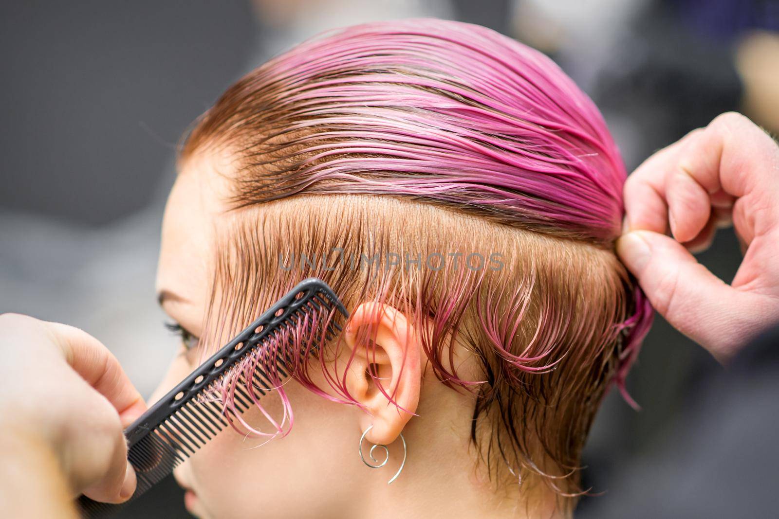 Combing the hair of a young woman during coloring hair in pink color at a hair salon close up