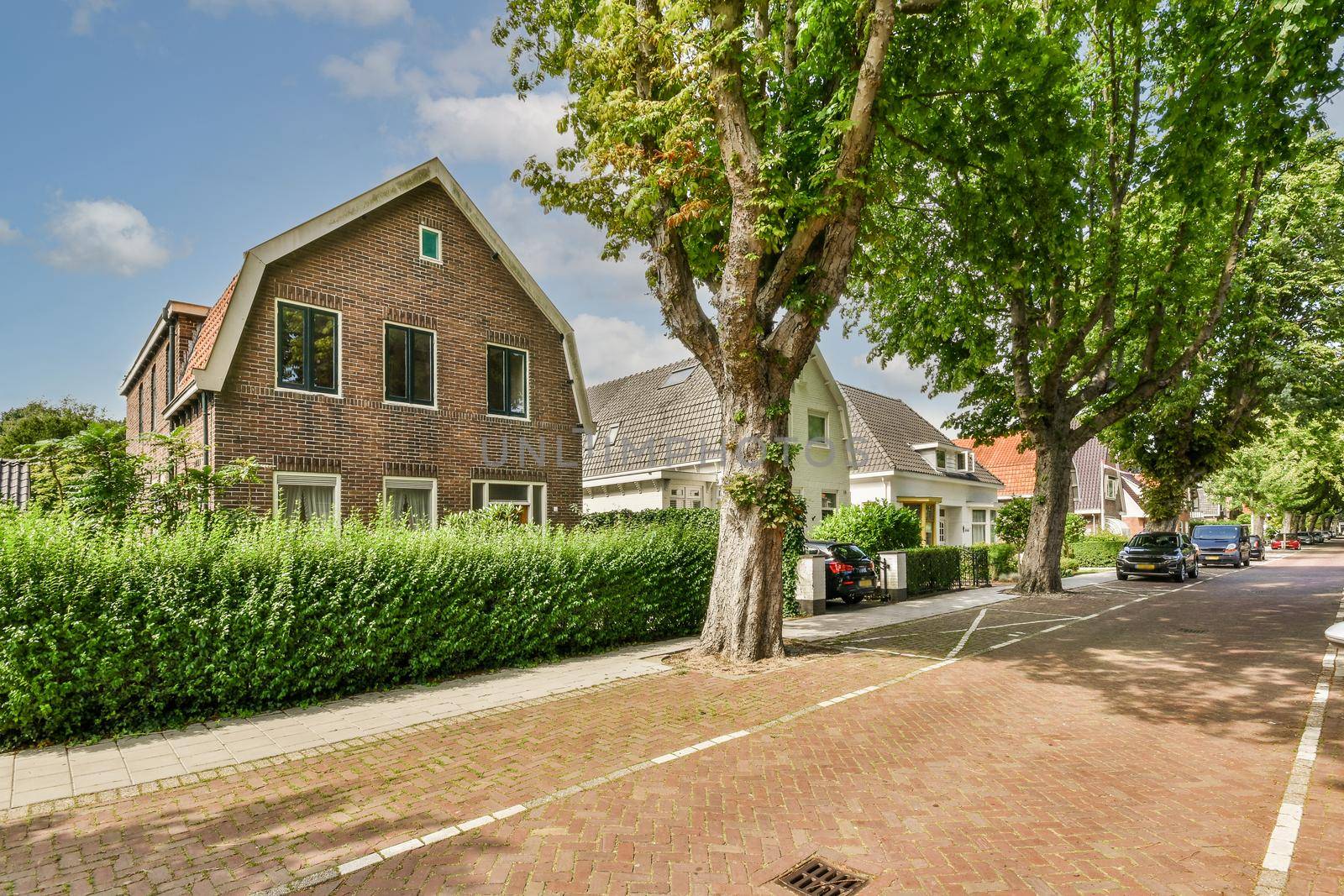 View of street near building with beauty of vegetation outside