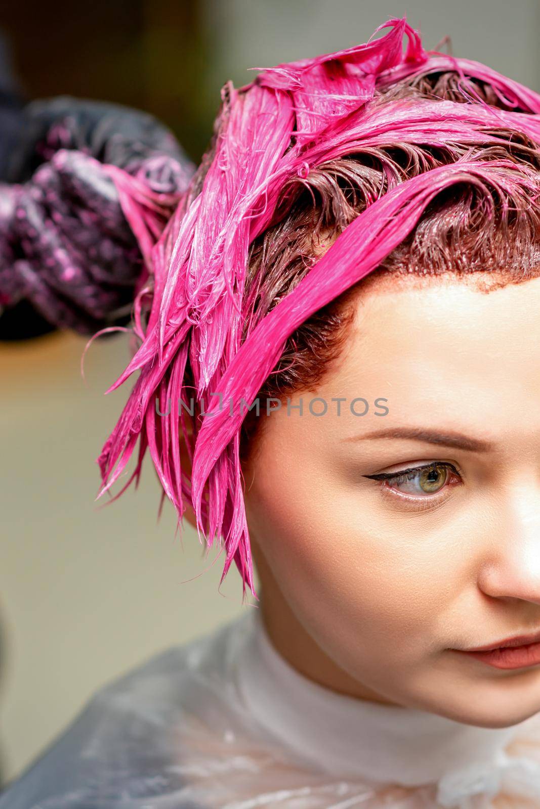 The professional hairdresser uses a brush to apply the pink dye to the hair. Hair coloring concept. by okskukuruza