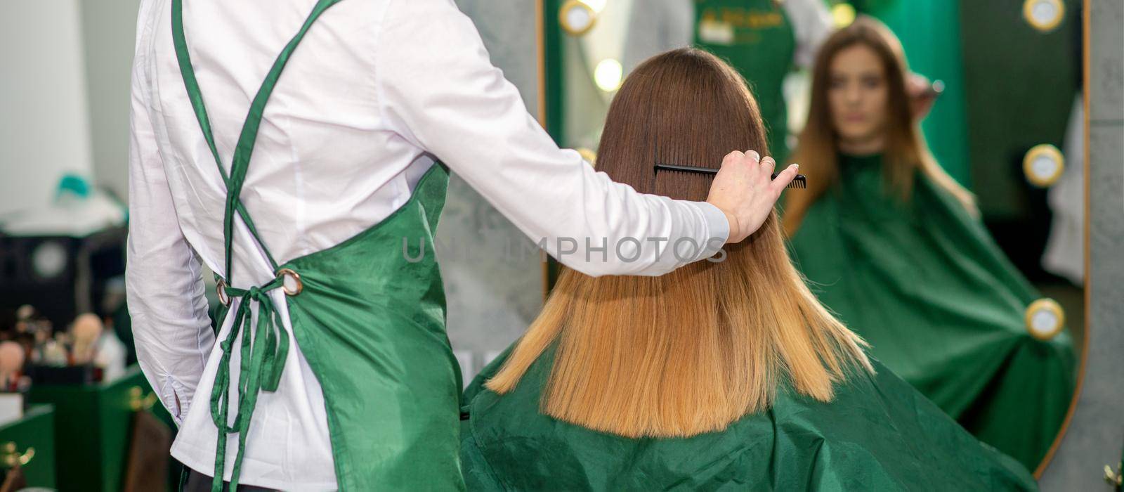 A female hairdresser is combing the long brown hair of a young woman at a parlor. by okskukuruza