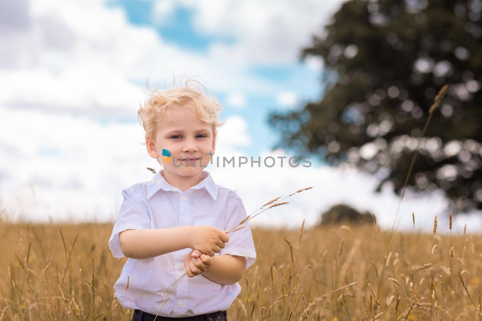 Stop War in Ukraine. Love Ukraine concept. Ukrainian boy with Ukrainina flag- yellow and blue painted on a cheek on a wheat field against blue sky background stands against war.