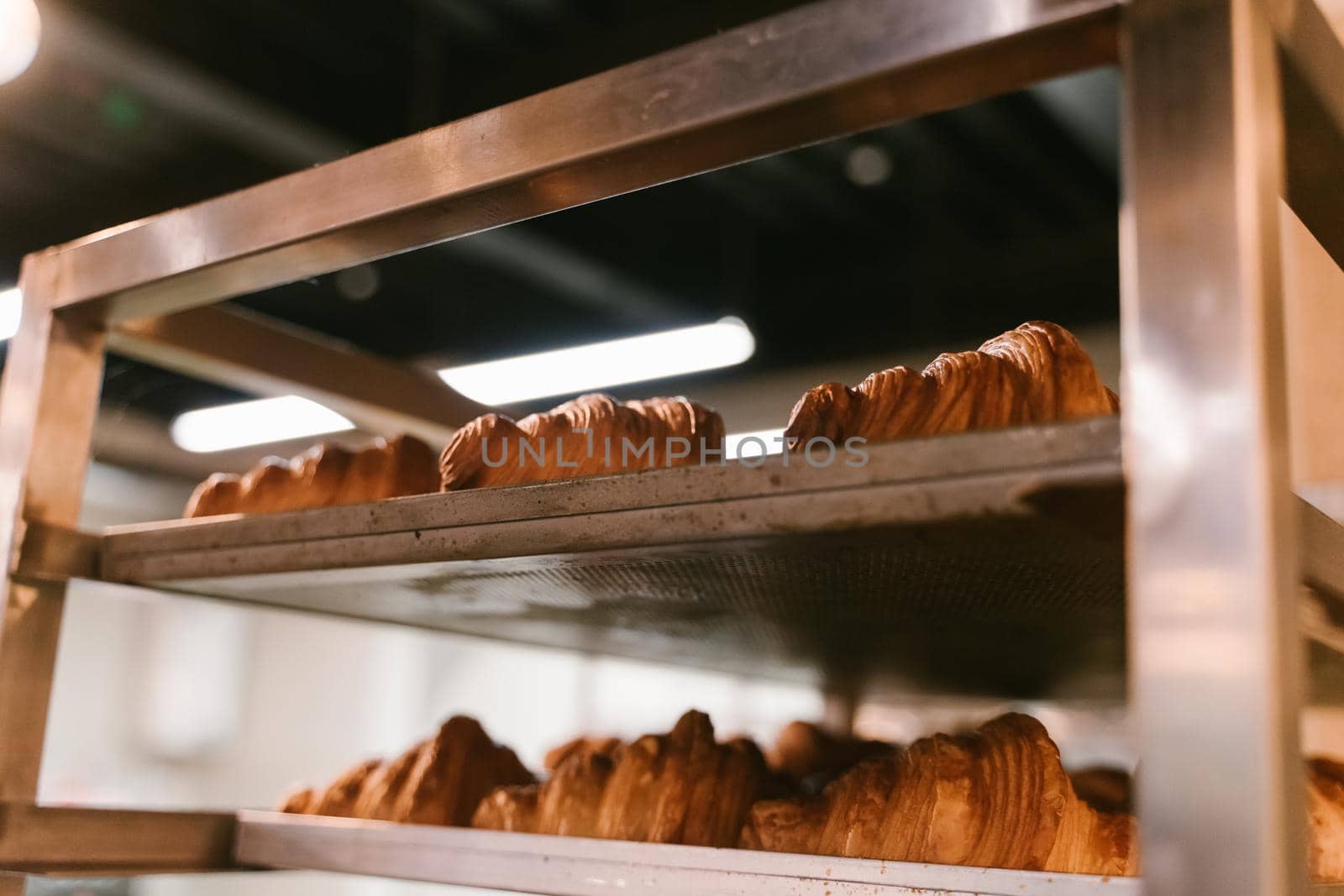 Production of delicious buns. Family bakery. Hot croissants on a metal tray. Fresh bakery. Rack with baked croissants.