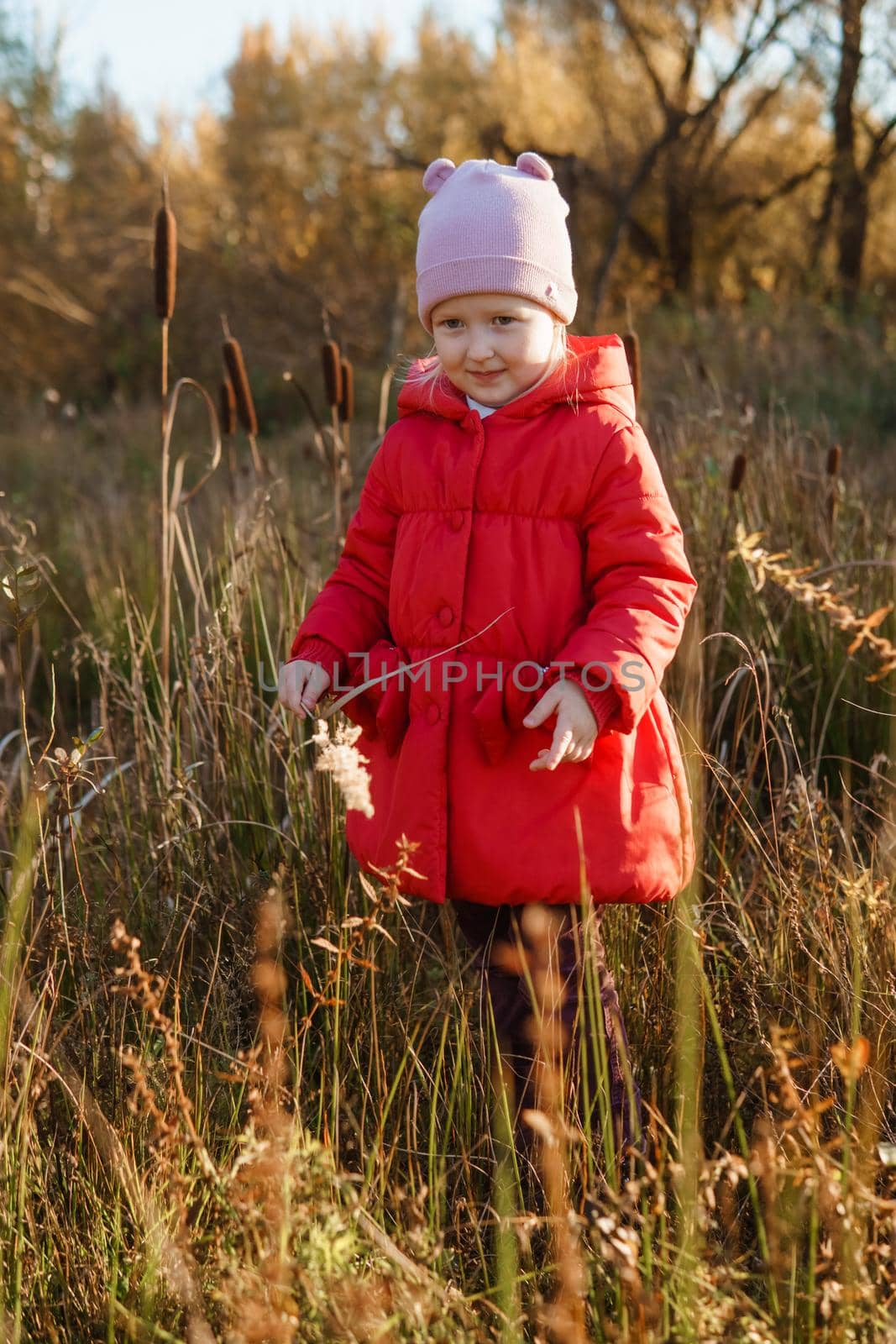 A little girl in a red coat walks in nature in an autumn grove. The season is autumn.